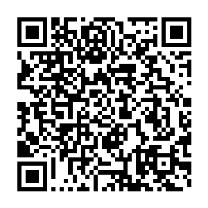 流墨墨伸手想触摸散发着柔和光芒的光塔却感觉手指碰到一阵虚无二维码生成