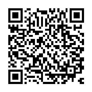 流墨墨伸手摘下石子路旁一朵伸出了的细小白花放到鼻尖嗅了嗅二维码生成