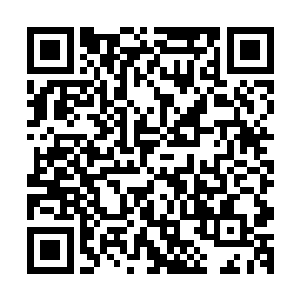 流墨墨其实也不太确定自己能不能平静的等到琴瑟色他们回来二维码生成