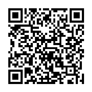 流墨墨冷色有些发冷的抽出血红色的大刀反握斜插到面前二维码生成