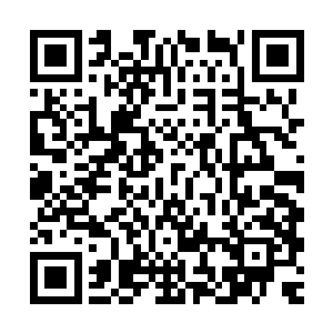 流墨墨却是一边漫不经心的拿着一柄具现化的匕首随意戳着石球二维码生成