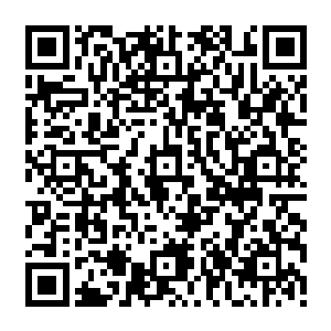 流墨墨却是第一时间就被这个地下世界那蓝绿的天幕和无处不在的能量吸引了注意力二维码生成