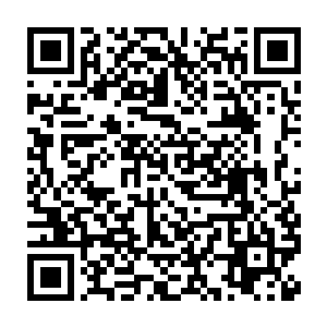 流墨墨原本下意识想放出的血焰在感觉到那种作用到她身上的隐隐压制二维码生成