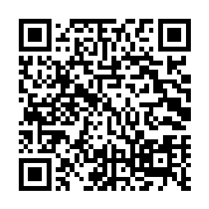 流墨墨只恨恨的斩断了那股已经被那鬼气侵袭污染了的神识二维码生成