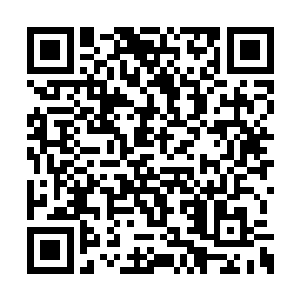 流墨墨只把他们也归类到了植物系仙兽的行列中二维码生成