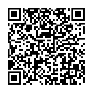 流墨墨和血幽紫追上的修魔者都是满脸惊疑的被一股股诡异的血色触手袭上二维码生成