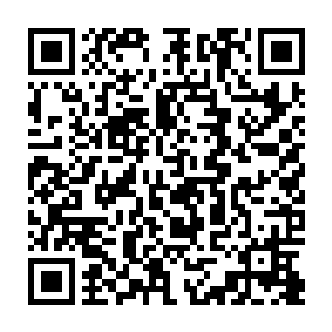 流墨墨和雪如楼看着木灵一脸的木然和身上那凄惨的差点真被切割成两半二维码生成