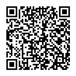 流墨墨和颜洛儿是都没啥兴趣去认识熟悉实力气息明显比他们都弱的双海的二维码生成