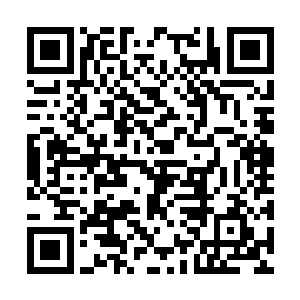 流墨墨已经无力吐槽司空家的男人们的态度举动了二维码生成