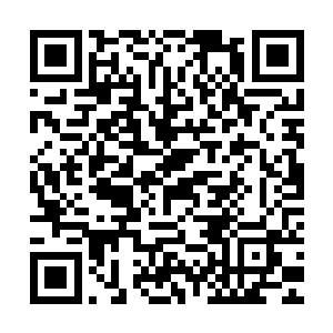 流墨墨并不在意改签的通知为何司空雨浩会在正式下达之前知晓二维码生成