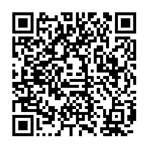 流墨墨惋惜的看着没有被中和的下半部分和依旧像是粽子被束缚着二维码生成