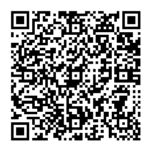 流墨墨懒洋洋伸了个懒腰换了个姿势手靠到扶手上托住下巴听着那些竞价的人一次比一次高的喊着二维码生成