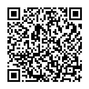 流墨墨拧着眉盯着模样未变的金灵和那她曾见过变化模样的火灵一阵打量二维码生成