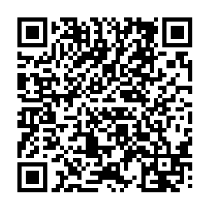 流墨墨毫不犹豫地推举了身为夫人的司空珊娜去与笛生尔度过他们的新婚之夜二维码生成