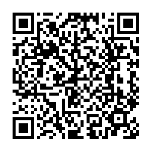 流墨墨淡定的忽略了那注意力明显大半都在自己身上的雪如楼的表现二维码生成