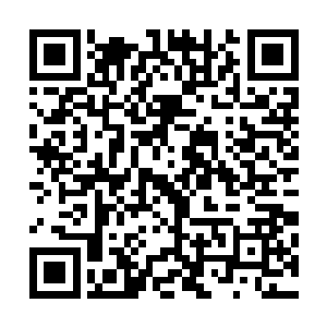 流墨墨的反应不仅是让不远处意识还清醒的几个宠物傻眼了二维码生成