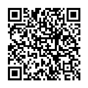 流墨墨的尴尬在突然反应过来颜洛儿现在逗比的蠢萌行为的时候二维码生成