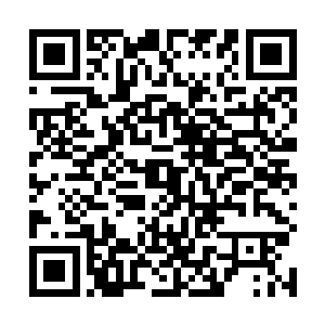 流墨墨皱皱眉又拿出几个玉盒把灵药都拿出吸收掉木气二维码生成