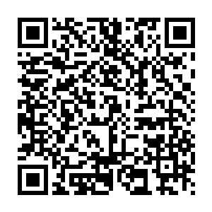 流墨墨看了一眼那只放置在族长躺着地方不远处巨大桌子上的乾坤袋二维码生成