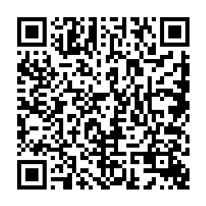 流墨墨看了看生命气息比最初摘下来的时候淡薄了很多的一堆黄木香花问道二维码生成