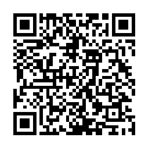 流墨墨看着不远处躺在地上不再动弹的五只白条鸡挑了挑眉二维码生成