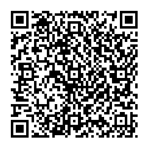 流墨墨站起身走到他们面前感受着自己的血液融入他们血液里的形成一个符文然后钻入了脑中识海在其中沉浮二维码生成