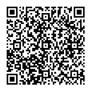 流墨墨脑子里突然有些恶寒的想到在凡人界的时候那些脑子被门挤了的用钱币铺满整个房间的人二维码生成