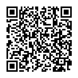 流墨墨被血色染红的脸颊上一道道血管全部暴起像隐在皮肤下的蜈蚣二维码生成