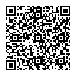 流墨墨走到人群中前面一点才看清中间位置站了一个看上去很憨实的十四五岁的少年二维码生成