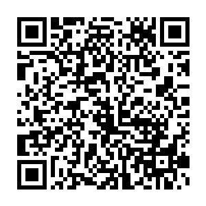 浑厚的凤鸣从我的体内吼出血色的战甲上火焰缭绕血凤的形象清晰可见二维码生成