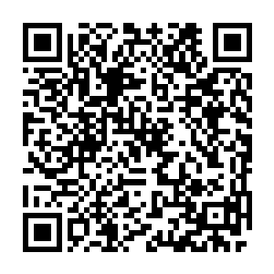 浑没觉得这君臣问对已经完全在萧言精心设计下顺着他的步调在走了二维码生成