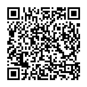 浑身上下散发出一股凶悍气息的樊千钧望着眼前的杨戬满脸恭敬的开口道二维码生成