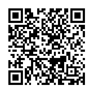 浑身上下画满了用白色黏土和一种红色的黏土做颜料的几何图案二维码生成