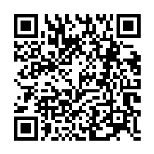 浑身散发着淡淡血色光芒的流墨墨满意的拍拍手说着二维码生成