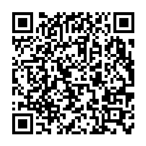 浙海市特别行动处的处长和杭州市特别行动处的处长一起进去救人二维码生成