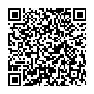 海中的这些鱼咬钩会有不同的反映虽说不会是十分准确但是也能做到二维码生成