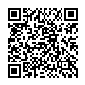 海伦才没有去在意自己的在瑞德制药的股权份额的多少二维码生成