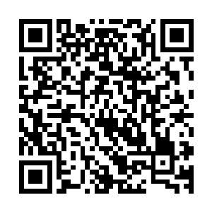 海域世界里堂堂三大神殿之一的天灵殿竟然会怕一名晚生后辈二维码生成