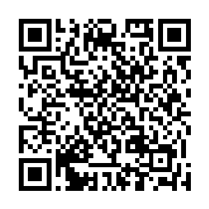 海域修真者们也迅速在登天路消失的同时满脸复杂的离开二维码生成