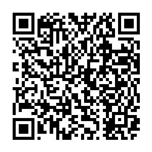 海域的三大殿主率领着各自领地中的众多圣皇强者终于赶路过来参与战斗二维码生成