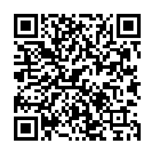 海滨省的五大军阀分别为占据海滨省府的海滨省警备师团长二维码生成