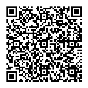 海熊部落的族长哈格斯和马克西姆主教此刻正在一群海熊部落海魂战士的簇拥之下踏着满地的鲜血二维码生成