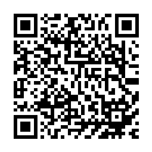 海神一族的族长的女儿在十五岁的时候看上了你要把你给强了二维码生成