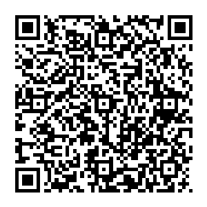 海里一片明亮 并不黑暗 而且能够看到无数的小鱼在身旁游來游去 那种可以触摸的感觉 如梦似幻二维码生成