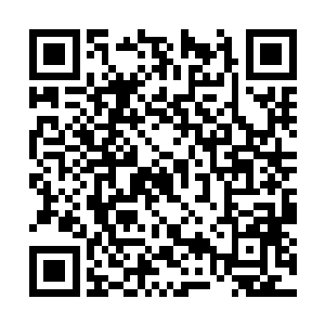 海量的怨灵形成的恐怖复仇力量如海水般淹没了他二维码生成