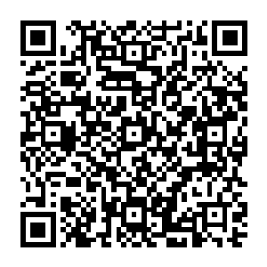 涅磐后的凤凰会化成凤凰蛋从头再来同时他们的记忆会被封印那种封印就会变成所谓的传承二维码生成