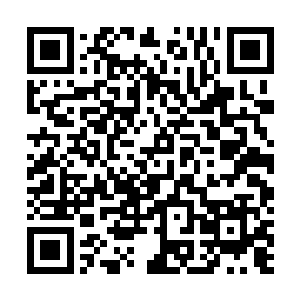 消失的无影无踪了……这下子观众和评委们又一次傻眼了二维码生成