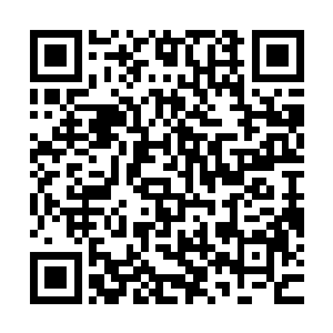 淡淡口吻竟然像是在安慰一个即将寿终正寝的垂死之人一般一般二维码生成