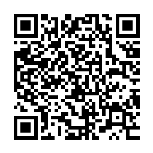淡淡的青烟伴随着一种人类难以察觉的气味在空气当中传播开来二维码生成