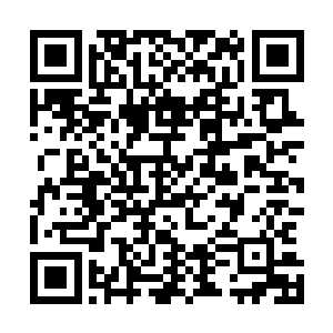 淡金色的孩童吞噬着从灰雾中拉扯出来的营养剂和强化药剂二维码生成